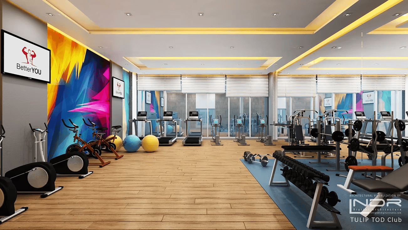 Tulip Yellow 8